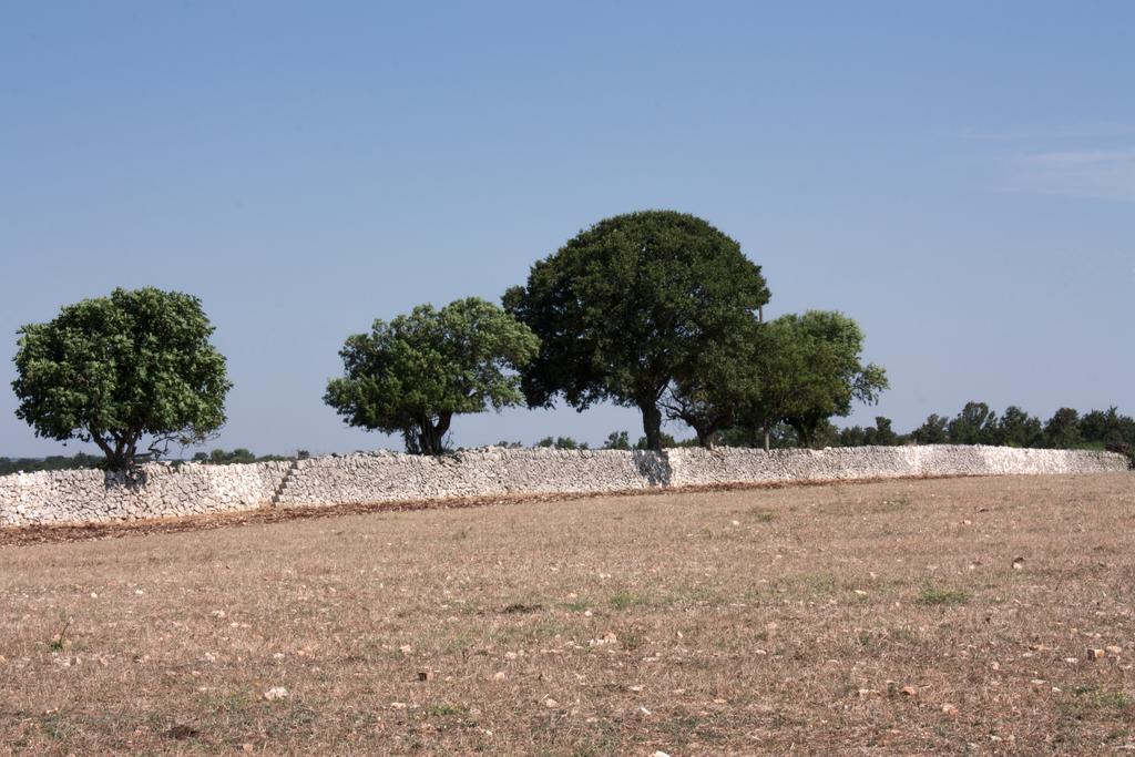 Trulli Sarmenzanello Lägenhet Noci Rum bild