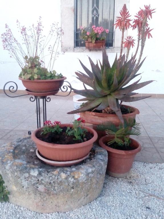 Trulli Sarmenzanello Lägenhet Noci Exteriör bild