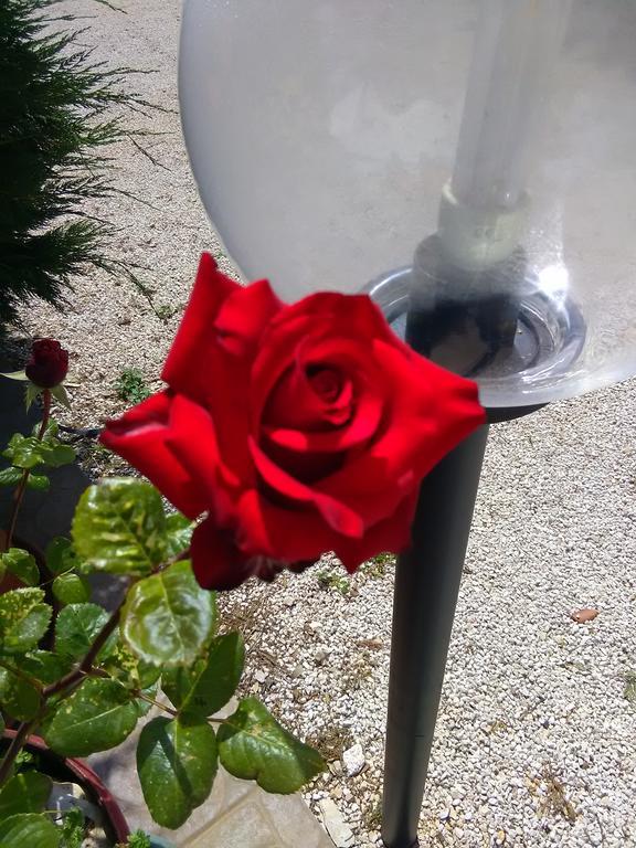 Trulli Sarmenzanello Lägenhet Noci Exteriör bild